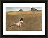 Christina's World By Andrew Wyeth FRAMED. 30 x 24 inches.