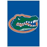 Florida Gators - Window / Garden Flag