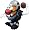 Carolina Panthers