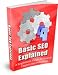 Basic SEO Explained - Struggling to Optimize Your Site for the Search Engines?