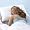 BioSense Memory Foam Classic Pillow with Better Than Down Cover