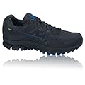 Nike Air Pegasus+ 27 Gore-Tex Running Shoes