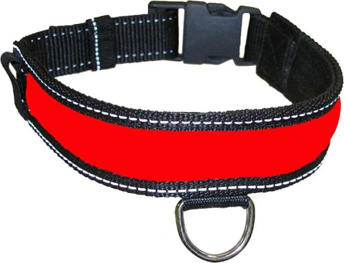 Selbstleuchtendes Hundehalsband 30-38cm