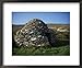 Ancient Roman Beehive Huts, Slea Head, Dingle Peninsula, County Kerry, Munster, Eire Collections Framed Art Poster Print by D H Webster, 22x18