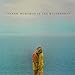 Andrew McMahon In The Wilderness[LP]