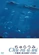 ちゅらうみ 沖縄美ら海水族館への招待 [DVD]