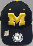 Michigan Wolverines Dynasty Fitted Hat