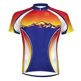 Primal Wear 2012 Men's Desperado Cycling Jersey - DES1J20MS (Desperado - L)