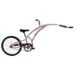 Adams Original Folder 1 Trail-A-Bike 20 Pink (floral decal)
