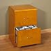 2-Drawer Vertical File Cabinet in Honey Finish By Studio RTA Furniture