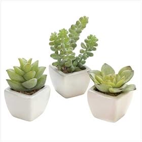 SOUTHWESTERN WEST THEME DESERT PLANT GIFT DECORATIONS