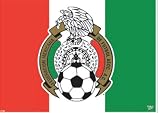 Mexico Ultra Decal- Removable/Reusable