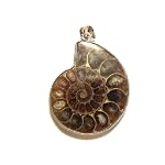 Fossil Pendant 07 Stone Ammonite Brown Rainbow Spiral Silver Mineral Crystal Gem 2