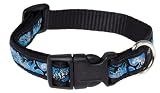 Rogz Fancy Dress Scooter Dog Collar, Medium 5/8, Turquoise Chrome