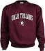 Arkansas-Little Rock Trojans Perennial Crewneck Sweatshirt