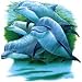 Dolphins Adult T-Shirt