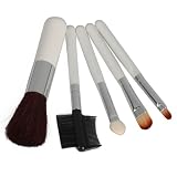 5pcs Beauty Cosmetic Makeup Brush Set with Case
