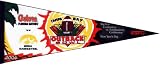 2004 Outback Bowl Pennant - Iowa Hawkeyes vs Florida Gators Pennant