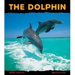 THE DOLPHIN: PRINCE OF THE WAVES (REVISED) [The Dolphin: Prince of the Waves (Revised) ] BY Lebloas-Julienne, Renee(Author)Paperback 01-Feb-2003