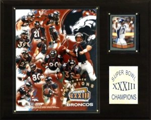 Denver Broncos Super Bowl XXXIII Champs 12
