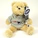 NEW ENGLAND PATRIOTS OFFICIAL 8 HOODIE TEDDY BEAR TOY