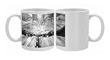 Cruising down a Photo Mugs
