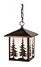 Vaxcel One Light Outdoor Pendant OD33486BBZ One Light Outdoor Pendant