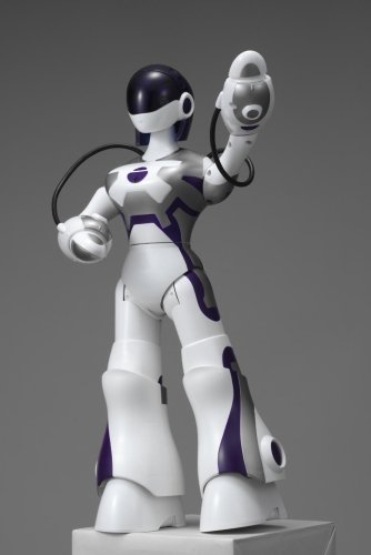 エマ(Eternal Maiden Actualization)