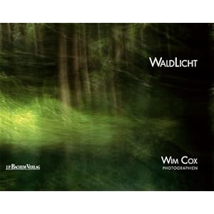 WaldLicht: Photographien