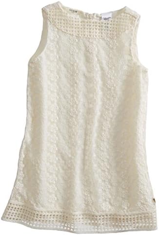 GUESS Kids Little Girl Lace Shift Dress (2-6x)