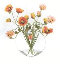 Poppy in Glass Vase