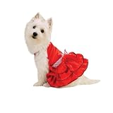 East Side Collection Polka Dot and Satin Dresses - X-Large