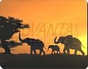 ELEPHANTS at SUNSET Mouse Mat