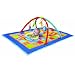 Taf Toys Three In One Curiosity Gym