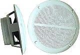 41O5iXJ1QjL. SL160  M 5 hochwertiger Außen Einbau Lautsprecher 80 Watt 127mm weiss wetterfest