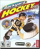 Backyard Hockey