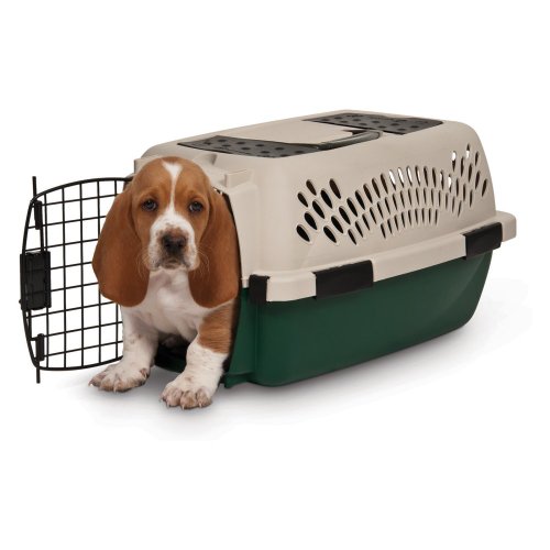 remington dog supplies