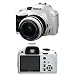 Pentax K-x - Digital camera - SLR - 12.4 Mpix - PENTAX-DA L 18-55mm AL lens - optical zoom: 3 x - supported memory: SD, SDHC - white