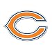 CHICAGO BEARS - NFL Football Team - Sticker Decal - #S0112