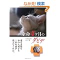 �]��4�P���̃_�r�f