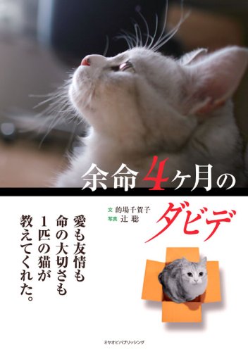 Cover image : 余命4ケ月のダビデ