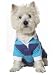 MEDIUM - BLUE - Fashion Pet Classic Rugby Shirt