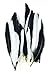 Touch of Nature 24-Piece Mini Indian Feathers for Crafting, 3-Inch, Black/White Mix