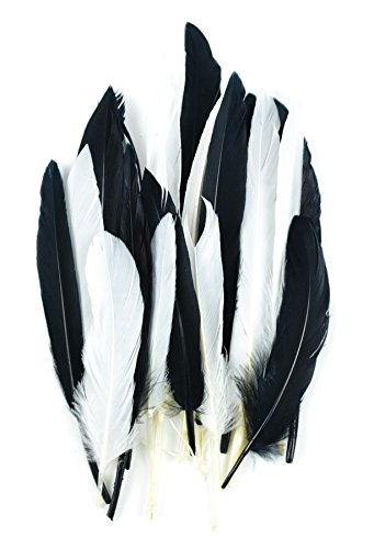 Touch of Nature 24-Piece Mini Indian Feathers for Crafting, 3-Inch, Black/White Mix