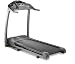 AFG 1.0 AT Folding Treadmill
