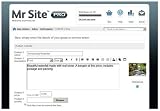 Mr Site Professional (PC)
