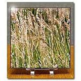 Tall Grasses Growing in the Winter Smudged to Look Like a Painting - 6x6 Desk Clock