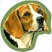beagle31 - SlapStix Beagle Car Magnet