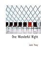 One Wonderful Night (A Romance of New York)