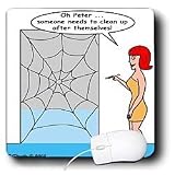 Rich Diesslins Funny General - Editorial Cartoons - Issues of the Real Spiderman - Cleaning - Mouse Pads